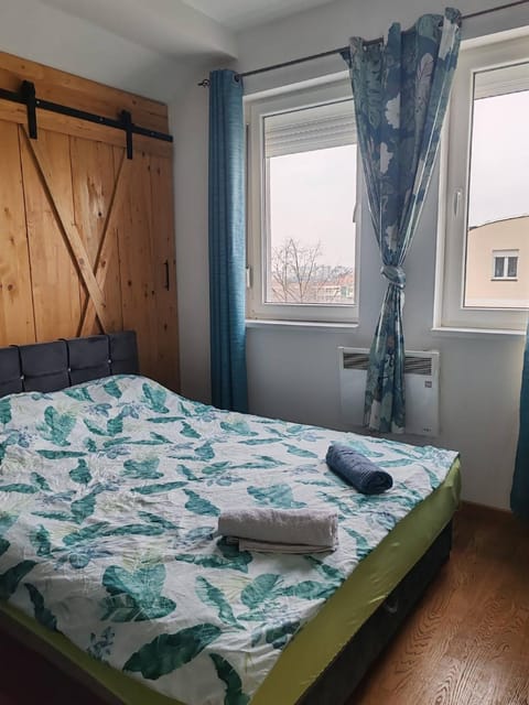 SPA apartment YANG - hot tub, sauna, spa Apartment in Novi Sad