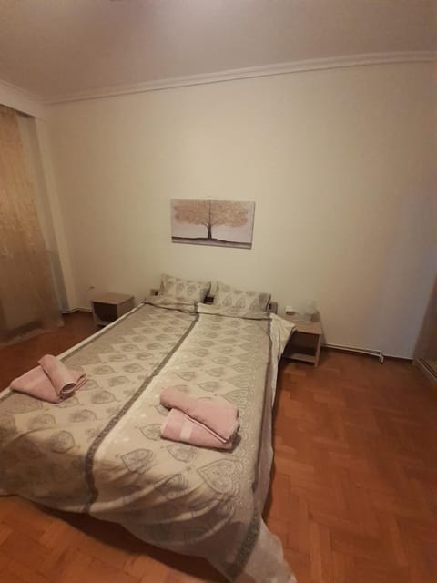 ASTERIS HOME Apartment in Halkidiki