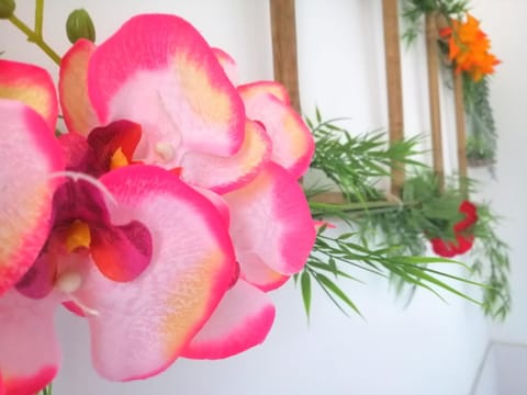 Le 1965 Double BALNEO, confort et romantique Apartment in Grenoble