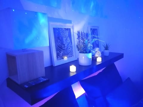 Le 1965 Double BALNEO, confort et romantique Apartment in Grenoble