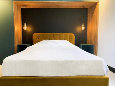 JAMES Résidence & Spa Bed and Breakfast in Strasbourg