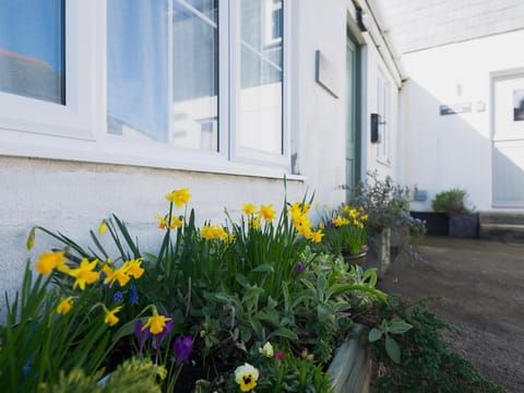 Sea Glimpses House in Port Isaac