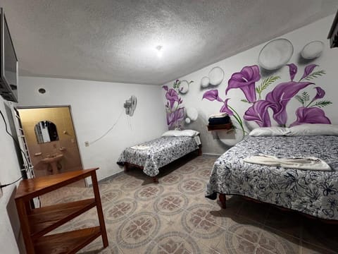 Posada TEO Apartment hotel in Hidalgo, Mexico