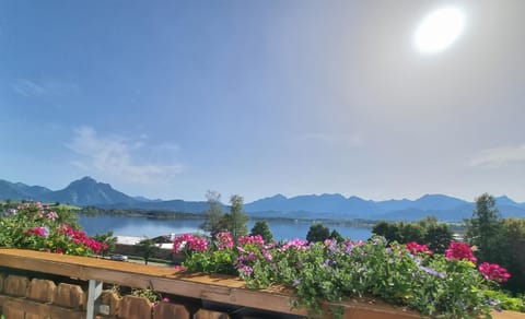 Balcony/Terrace, Lake view, Mountain view
