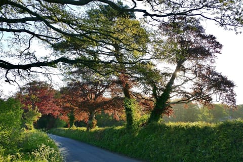 East Hillerton House Studio Apartment in Mid Devon District