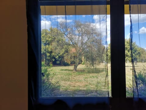 Natural landscape, Garden, Garden view