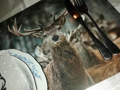 Lesse en Ciel vous accueille avec plaisir . House in Dinant