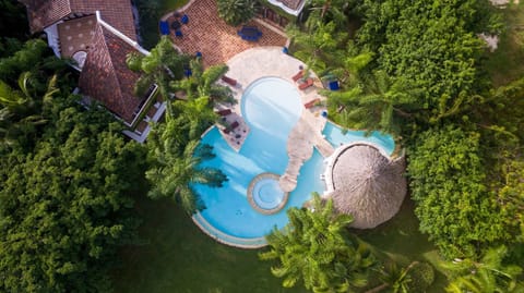 Bird's eye view, Pool view, Swimming pool