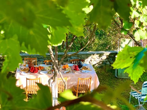 Spring, Day, Garden, Food and drinks, Dining area, Food, Garden view