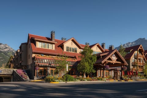 Property building, Summer