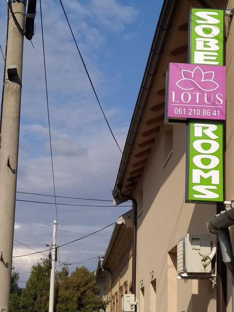 Lotus house Apartment in Timiș County