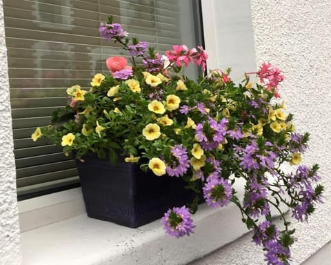 Belfast townhouse in prime location in Belfast City House in Belfast