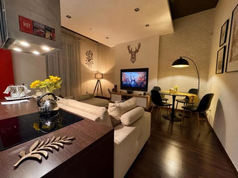 TV and multimedia, Kitchen or kitchenette, Living room, Photo of the whole room, Seating area, Dining area