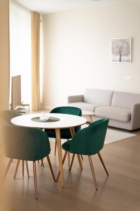 Apartment in Druskininkai City Centre Apartment in Lithuania