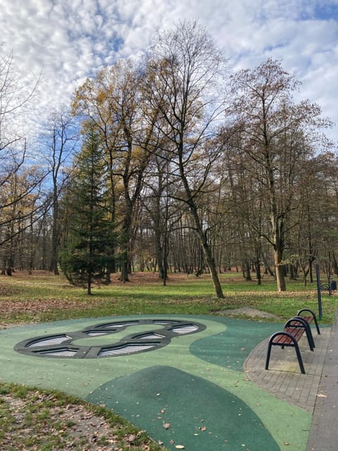 Children play ground