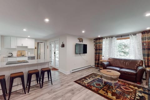 Magic Birch Lodge House in South Londonderry