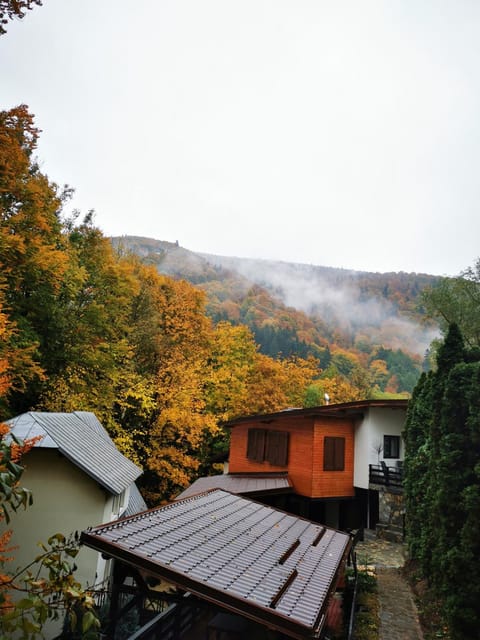 Property building, Mountain view