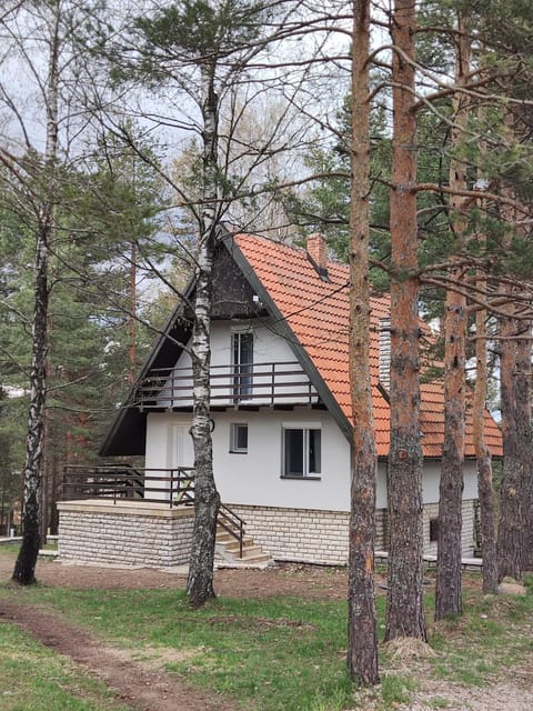 PLANINSKA VILA SMIGIC House in Zlatibor District, Serbia