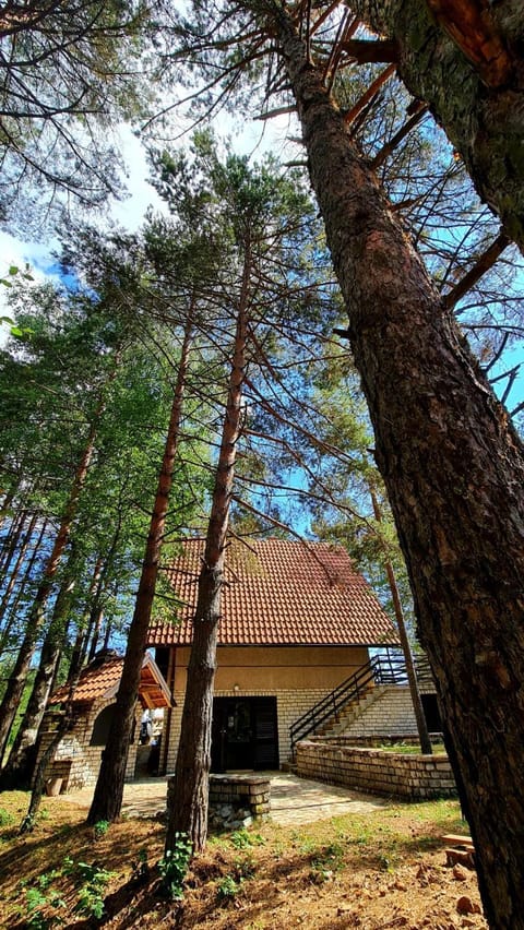 PLANINSKA VILA SMIGIC House in Zlatibor District, Serbia