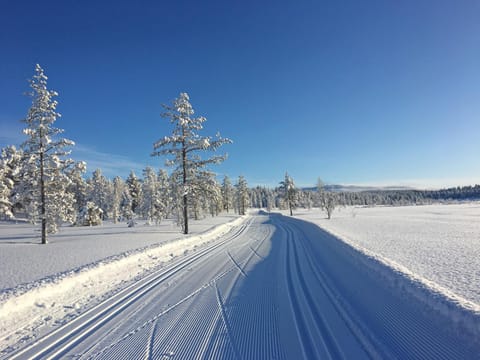 Natural landscape, Winter, Skiing