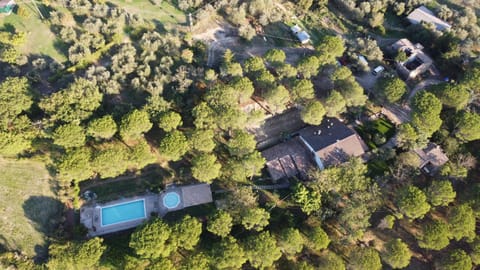Bird's eye view, Pool view