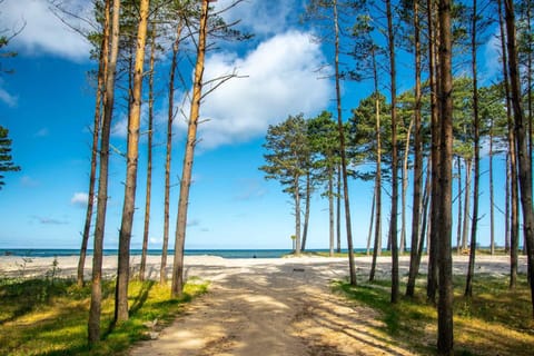 Natural landscape, Beach, Hiking