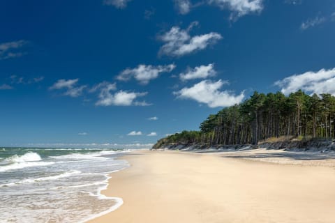 Natural landscape, Beach, Hiking