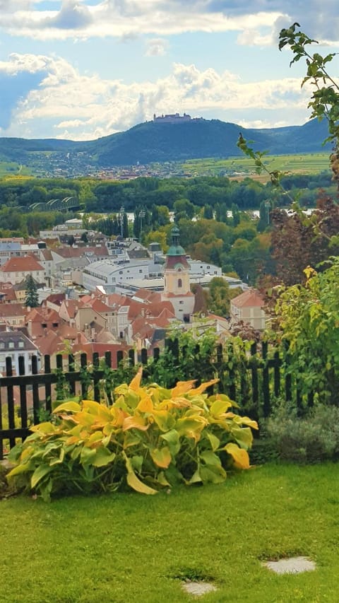 Garden, City view