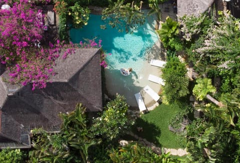 Bird's eye view, Garden