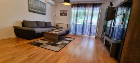 Communal lounge/ TV room, Living room, air conditioner