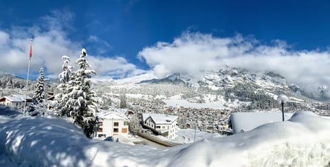 Neighbourhood, Natural landscape, Winter, Mountain view
