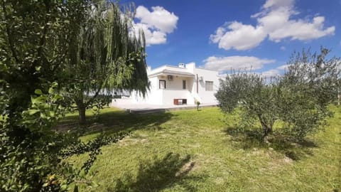 Property building, Spring, Day, Garden, Garden view