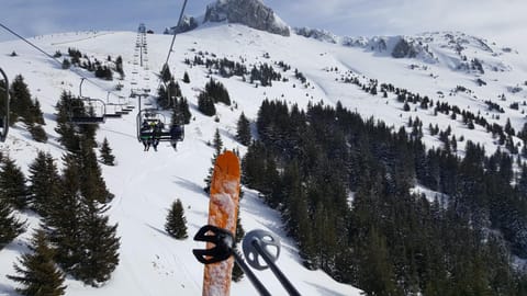 Natural landscape, Winter, Skiing, Hiking