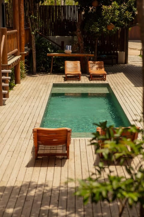 Day, Pool view, Swimming pool, sunbed