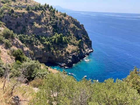 Affittacamere L’ Agrumeto Bed and Breakfast in Basilicata