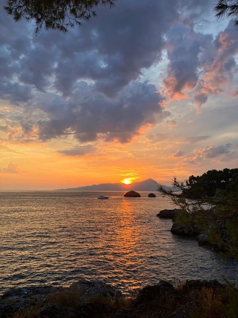 Affittacamere L’ Agrumeto Bed and Breakfast in Basilicata