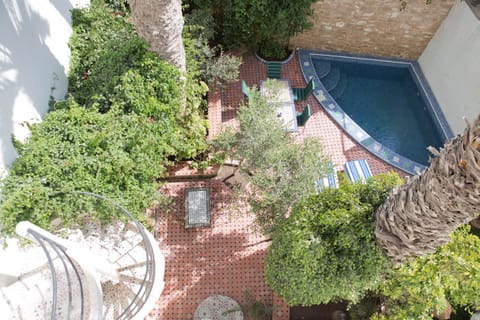 Garden, Garden view