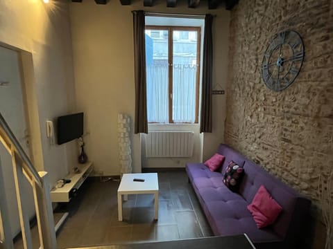 Duplex de charme Orléans hypercentre Cathédrale-Parking possible Apartment in Orléans