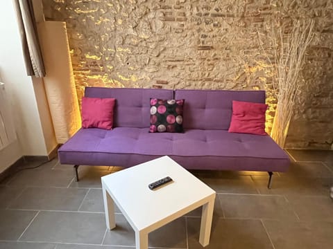 Duplex de charme Orléans hypercentre Cathédrale-Parking possible Apartment in Orléans