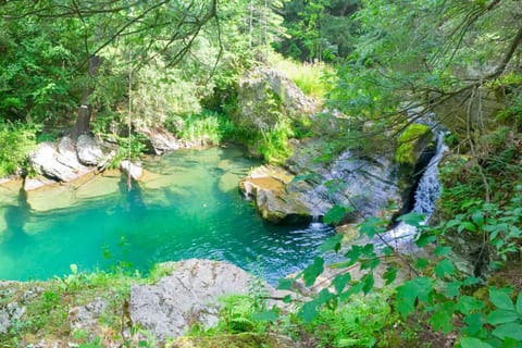 Waterfalls and Trails at The Mills At Green Hole House in Capital District, NY, USA