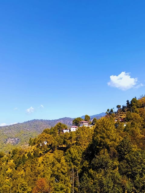Natural landscape