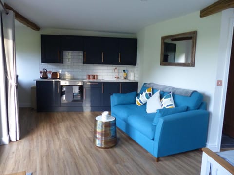 Kitchen or kitchenette, Living room, Seating area, pet friendly, stove