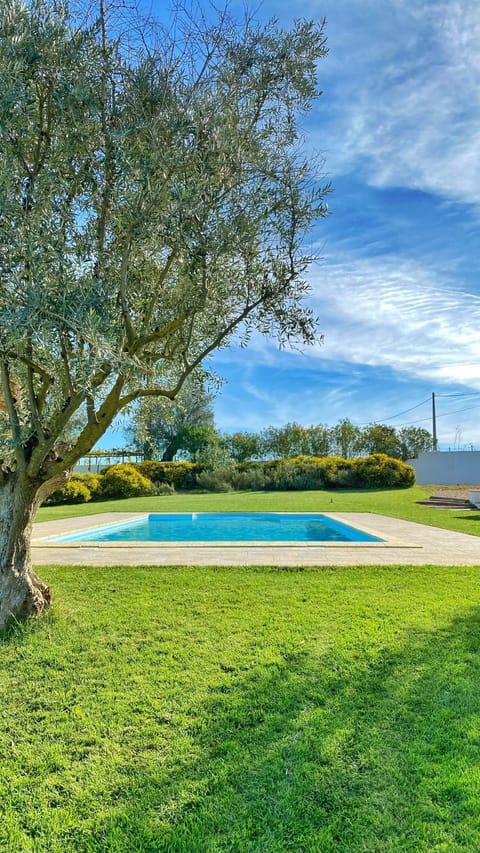 Day, Natural landscape, Garden, Garden view, Pool view, Swimming pool, sunbed