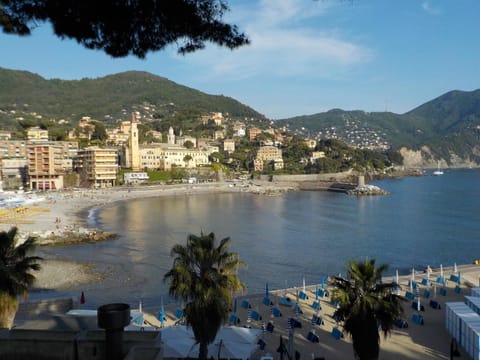 Natural landscape, Beach, Sea view