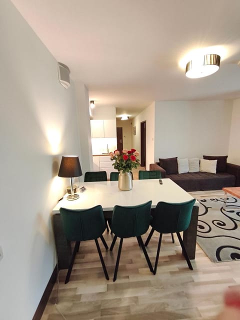 116 Duży Apartament rodzinny z aneksem kuchennym 200 m od morza jacuzzi i sauny w obiekcie Apartment in West Pomeranian Voivodeship, Poland