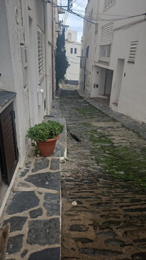 Apartament Boutique Sota Campanar a Cadaqués Apartment in Cadaqués