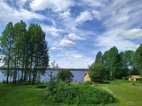Natural landscape, Garden, Beach