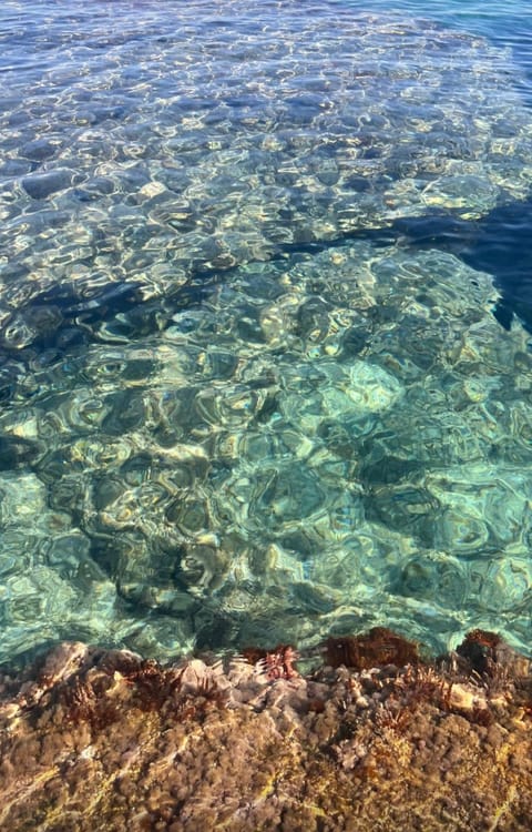 Sea view
