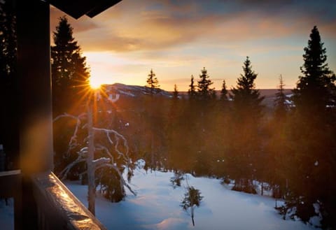Kotamäki A House in Lapland