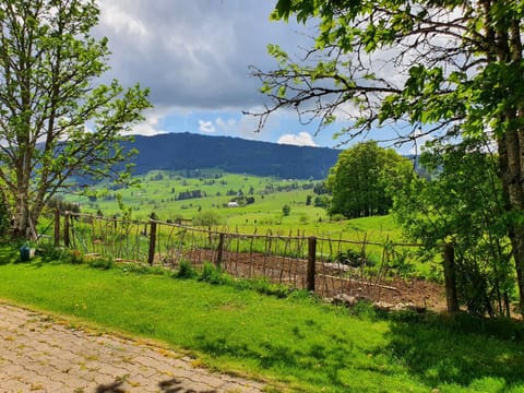 Spring, Mountain view